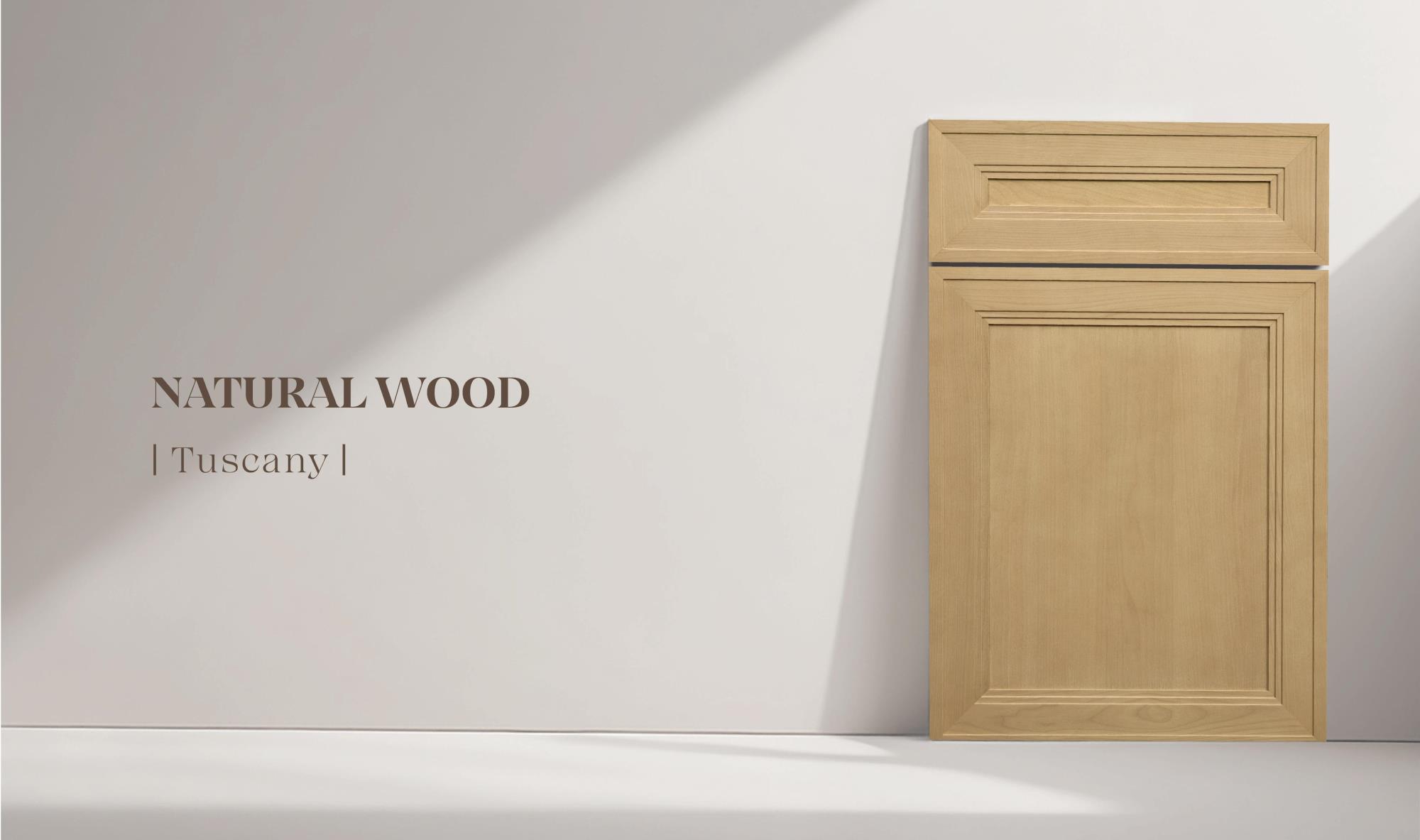 NATURAL WOOD door panel construction