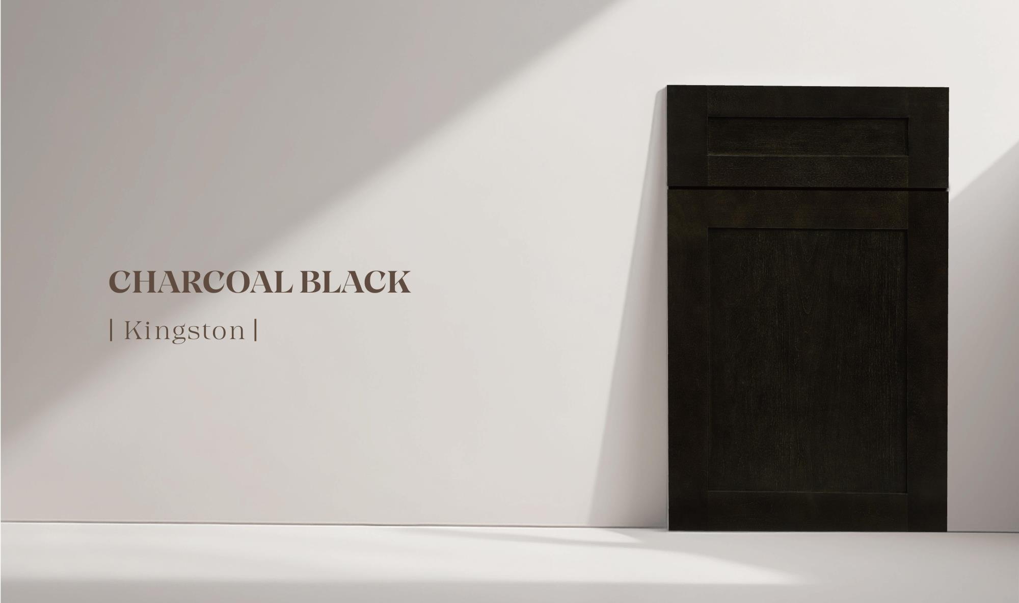 CHARCOAL BLACK door panel construction